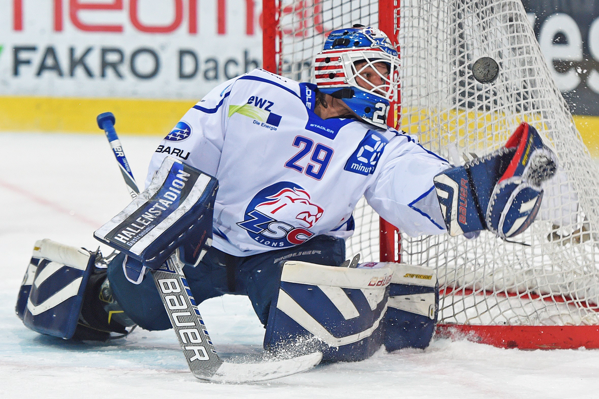 FRESHFOCUS_504687.jpg FRESHFOCUS_504687.jpg